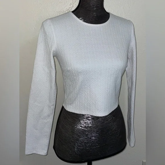 Long Sleeve Crop Top - Picture 2 of 14
